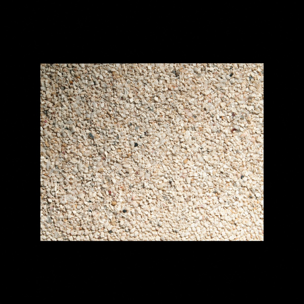 Caribsea Special Grade Reef Sand 40lbs on black background