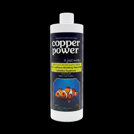 Copper Power 16oz Black Background