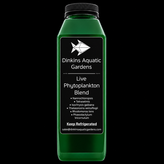 Dinkins Live Phytoplankton- 16 Ounce Bottle on black background
