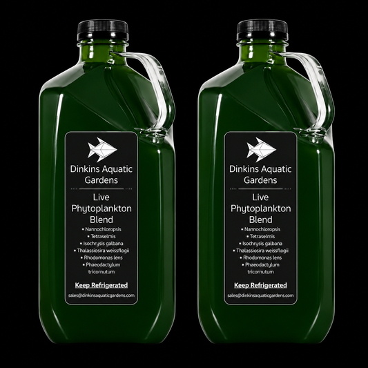 Dinkins Live Phytoplankton- One Gallon on black background
