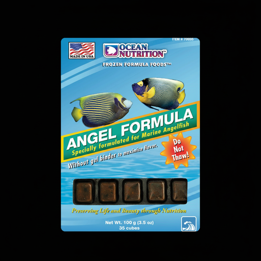 Ocean Nutrition Angel Formula Black Background