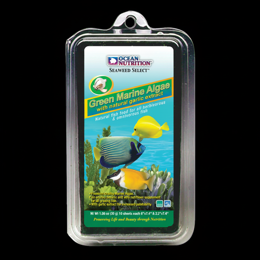 Ocean Nutrition Seaweed Select Green Marine Algae Black Background
